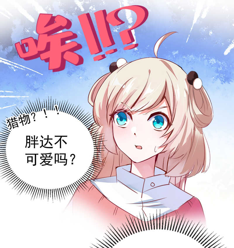 天降萌宝小熊猫